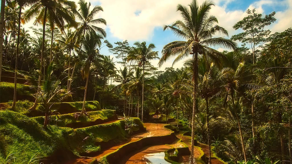 Stunning Scenery, Culture & Fitness