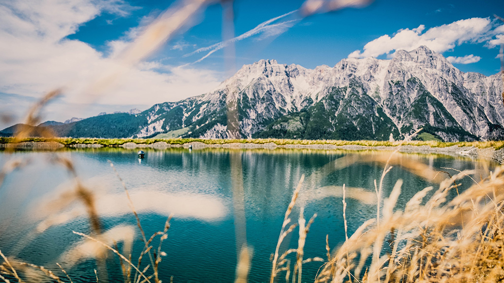 Surroundings & Weather