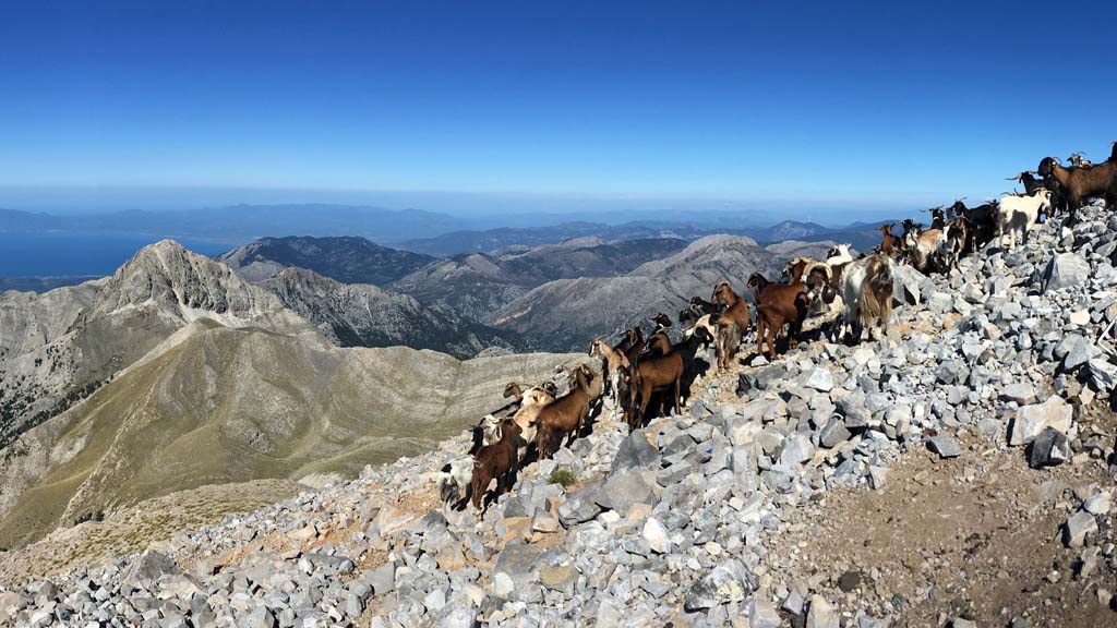 Peloponnese (Greece) – Outdoor Training Unboxed - Long hike (4h + picnic)