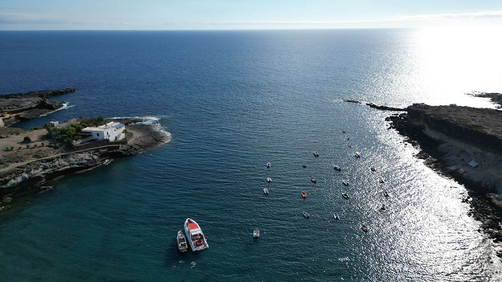 Tenerife – Reiseathleten Villa - Private boat tour (whale watching)